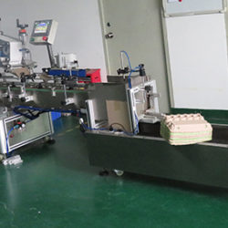 automatic PET egg carton self-adhesive labeling machine